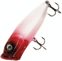 image - 2025-10-15T104856.082