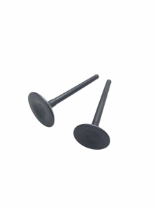 photo_5202077342992833616_y