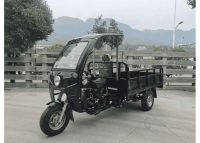 tricikl-gruzovoj-ayaks-agiax-5-s (6)