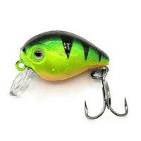 image - 2025-10-15T110510.384