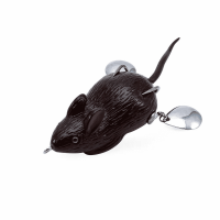 image - 2025-10-17T170603.105