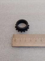 photo_5190474261209414458_y