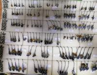 WhatsApp Image 2023-04-04 at 09.42.56