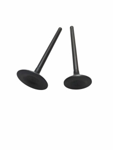 photo_5202077342992833594_y (1)