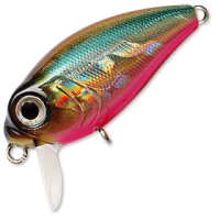 vobler_kosadaka_roger_32_surf_sh_m