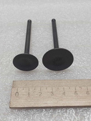 photo_5199884208137437470_y