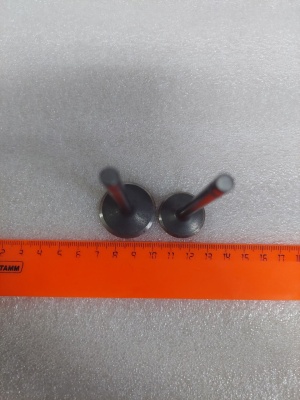 photo_5202077342992833687_y