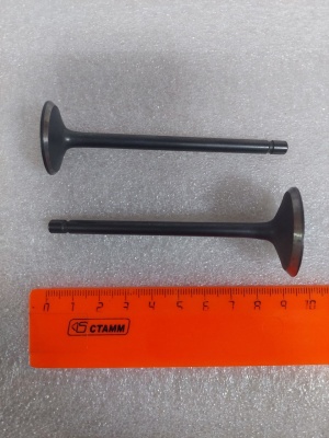 photo_5202077342992833688_y