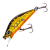 image - 2026-09-20T123906.557