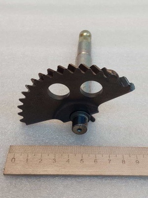 photo_5190474261209414071_y