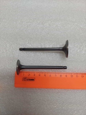 photo_5202077342992833609_y