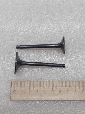 photo_5199884208137437471_y