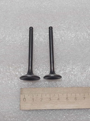 photo_5199884208137437563_y