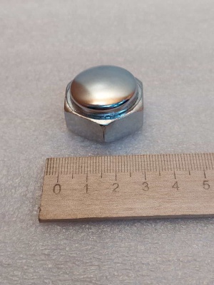 photo_5474603454694554552_y