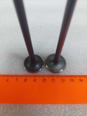 photo_5202077342992833710_y