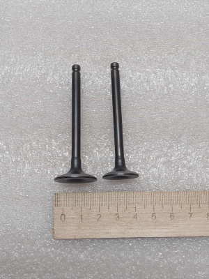 photo_5199884208137437555_y