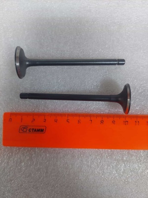 photo_5202077342992833709_y