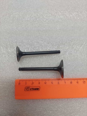 photo_5202077342992833617_y