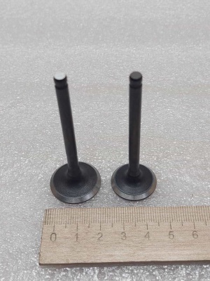 photo_5199884208137437564_y