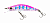 image - 2026-09-20T170217.675
