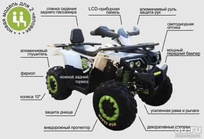 kvadrotsikl-utilitarnyy-dvukhmestnyy-motoland-wild-track-1-13324730