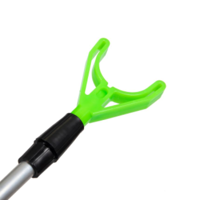 00616008_596772_LARGE