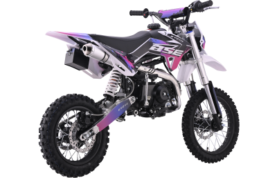 BSE_EVO110_2026_shock_3