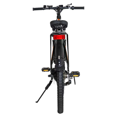3 (36)