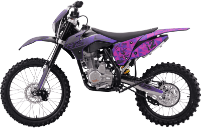 bse_z2l_purple_2118_4