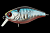 image - 2023-12-23T161924.537
