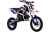 BSE_EVO110_2026_shock_2