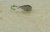 IMG_20251205_120206
