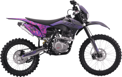 bse_z2l_purple_2118_1