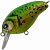 vobler_tsuyoki_agent_40f_5_g_lm004_b