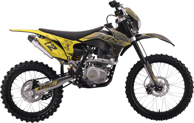 bse_z2l_yellow_2118_1