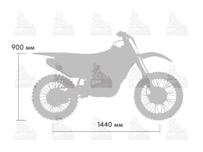 49548076.jpg